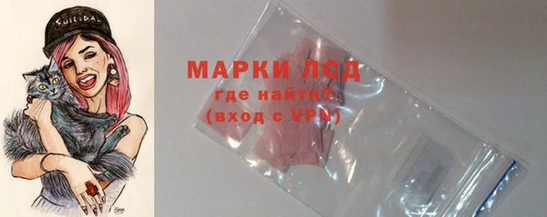 сатива Беломорск