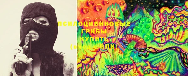 мескалин Богородицк