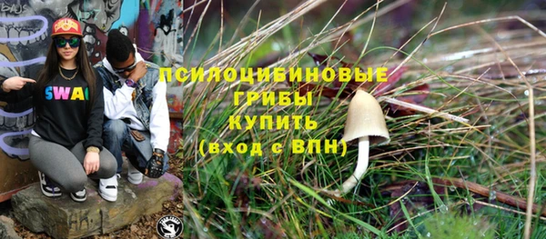 метамфетамин Богданович